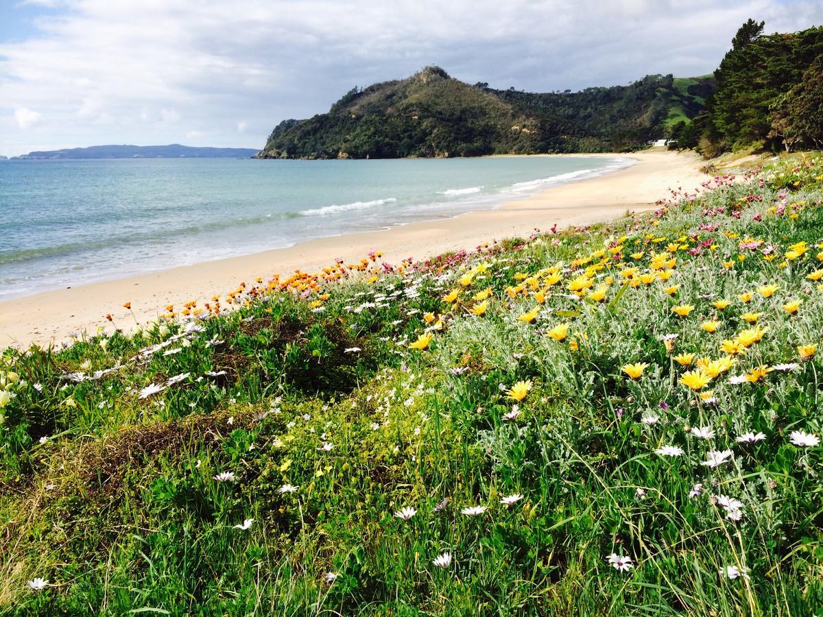 Taigh Na Mara Bed And Breakfast Whitianga Exterior foto